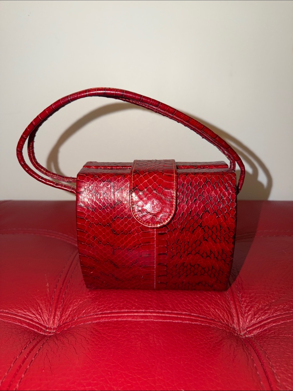 Vintage Unique Red Snakeskin Box Mini Handbag
